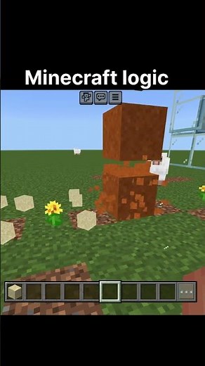 Minecraft logic #minecraft #memes #capcut #minecraftbuilding #shorts #shortsfeed #yttracker