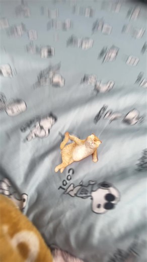 Charlie Mortilla (@charliemortilla)’s videos with original sound - RabbitDemon