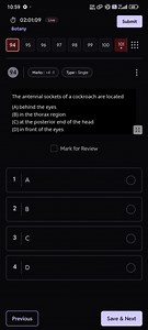 Where are the antennal sockets of a cockroach located?(A) Beh... | Filo