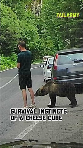 What happens when you don't pay attention #bear #wildanimals #animalencounters #scare #shorts