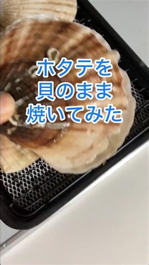 【帆立焼いてみた】やってみた！殻のまま焼く #帆立 #ほたて #ショート #やってよかった #やってみた #初挑戦 #料理 #料理動画