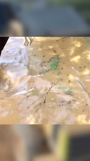 16K views · 294 reactions | #uncloggingdrains #satisfyingcleans #relaxingvideos #cleaning #fyp | Satisfying Videos | Facebook