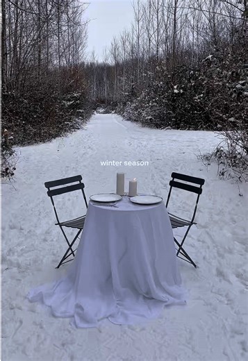 Cozy Winter Tablescape Ideas for Snowy Days