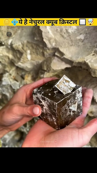 💎🪙 Shiny Rock or Fake Gold? 🤯💠 | Pyrite Crystal Facts 🔲✨ | #shorts #facts #gold #pyrite #crystals