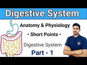 Digestive System || Anatomy & Physiology Golden Points || Part - 1