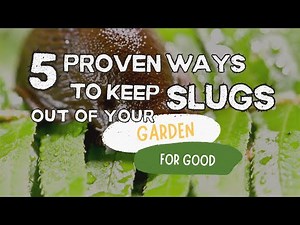 5 Proven Ways to Keep Slugs Out of Your Garden for Good!