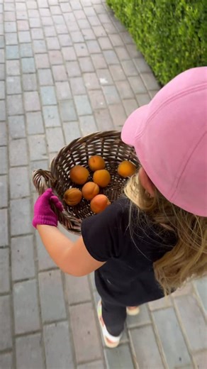 July-December 2025! 🥰 Happy last day of the year! Thank you all for another great one! | Garden Answer