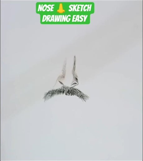 "Nose 👃 sketch drawing easy" #tauseefart #art #sketch #pencildrawing