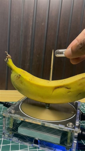 Banana 🍌 + Electricity⚡️+ Bulb 💡| Tesla Coil Experiment #highvoltage #teslacoil #scienceexperiment