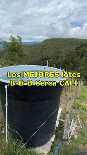 El Queremal te espera con lotes campestres ✅ Lotes disponibles desde 3000m2 ✅ Servicios públicos disponibles ✅ Vías de acceso en buen estado ✅ Zona segura y rodeada de naturaleza 📍 45 solo minutos de Cali 📲 WhatsApp: ‪ 57 3233674262‬ 💰 Precio desde $85.000.000 COP | Roberson Olaya