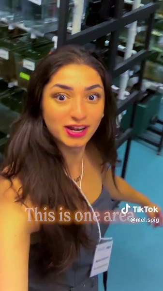 Exploring Fishtopia: Feeding the Swimmers