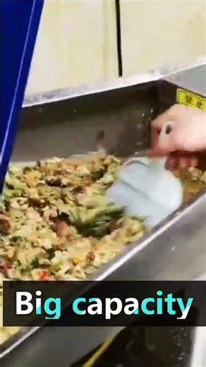 Big Capacity Food Waste Disposer