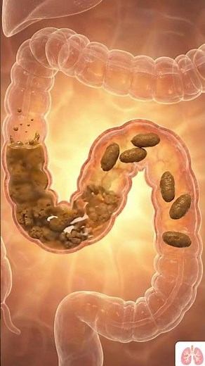 The Large Intestine Process Explained Visually #Science #Biology #3DAnimation #Health #Education