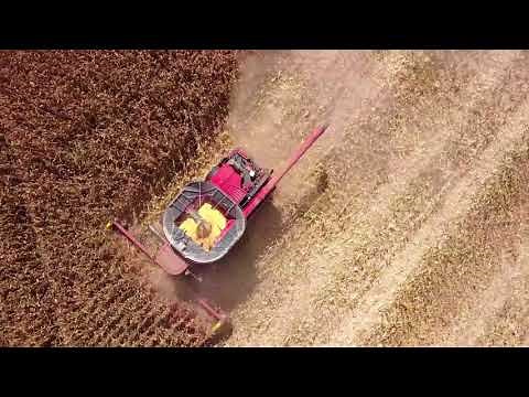 Brazilian Middlewest, soybean and corn harvest 2018 Rio Verde GO