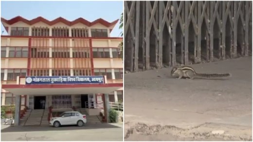 Squirrel bites over 18 people at Udaipur university, then vanishes without a trace