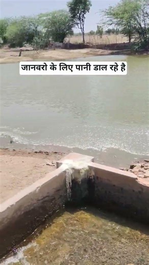 जानवरो के लिए पानी #animal #summer