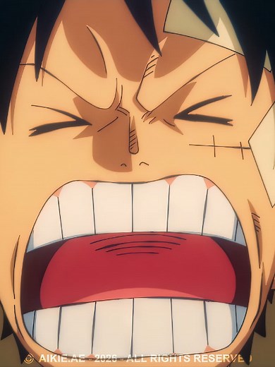 Zoro vs. Sanji: The Easiest Target? One Piece Edit