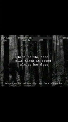 SCP-1000 #scp #scpfoundation #horror #horrorstories #bigfoot #vlog