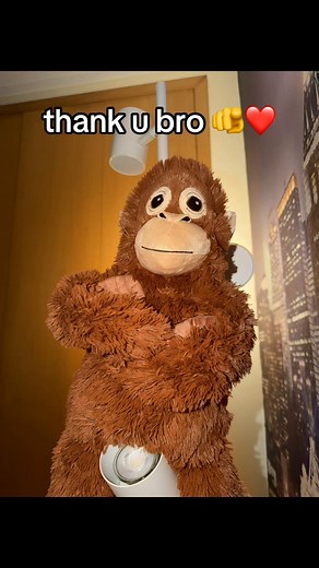 IKEA Monkey GIF: A Simple Thank You