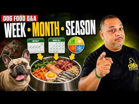What I Feed My Dogs Every Week, Month & Season to Stop Yeast & Itching: Homemade Dog Food Q&A