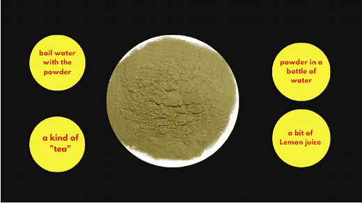 How to Make San Pedro Cactus Powder? ( A Personal Guide) - My Cactus Garden