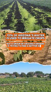 2.1K views · 460 reactions | Everyone is a part of the food system. Learn how YOU can make an impact in the sustainable food movement. | Local First Arizona | Facebook