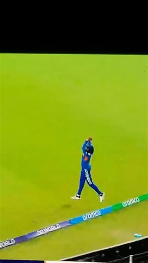 🏆win🏅World Cup winning catch cricket 20-20