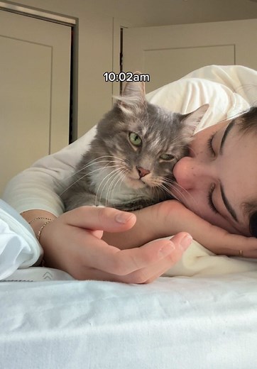 How to Make Your Cat a Model: Tips and Tricks