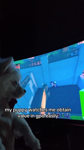 Puppy Watches Gameplay in GPO on Roblox