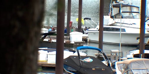 Woman is killed after falling off boat, hit by another boat