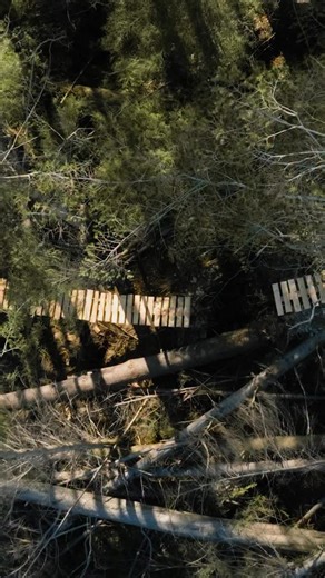 19K views · 57 reactions | Gee almost rode in a stab vest for WINDFELL  @gee_atherton reveals just how dangerous his latest project was. The terrain was so splintered and unpredictable he genuinely considered riding in a stab-proof vest to avoid getting skewered. Watch WINDFELL on the Atherton Bikes YouTube channel and catch the full podcast with Gee on The Ride Companion channel and all podcast apps. #theridecompanion | The Ride Companion Podcast | Facebook