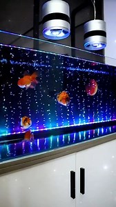 ống sủi oxy kết hợp với đèn led siêu lung linh , siêu đẹp luôn | Bảy Màu Quê
