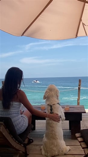 Mastering a New Language with Rosetta Stone: My Progress