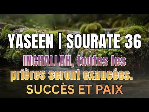 Sourate 36 Yaseen | Récitation du Coran pour la Paix du Cœur