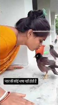 राधे राधे जय श्री कृष्णा🙏🙏🙏❤ 🌷🌷🥀🥀💐💐🌹🌹#motivation #jaishrikrishna #qoutes