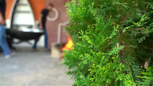 How to make a creamy custard fruit drink for summer