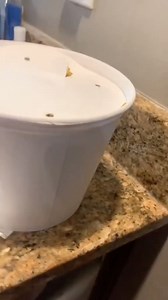 30K views · 42K reactions | A bucket of fried rice?!?!? | Brandon J McDermott | Facebook