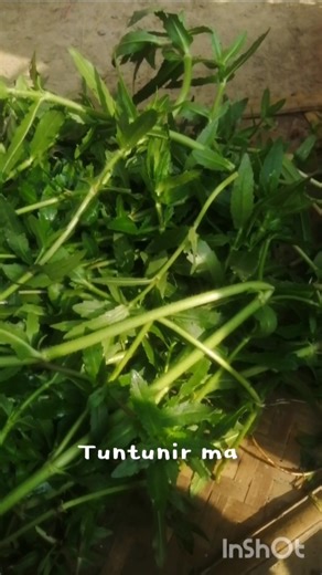 এই শাক টা কে আপনাদের এখানে কি বলে comment এ বলে যান.. 🤔👇#cooking #recipe #chicken #tuntunirmaa