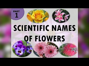 60+ Scientific names of flowers | Part 1 | Botanical names of flowers | The Big Bio Theory