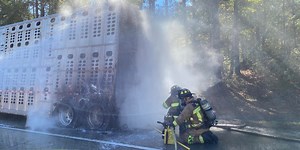 Cattle truck fire leaves several cows dead, more than a dozen roaming interstate in Georgia