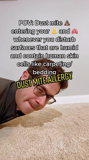 Understanding Dust Mite Allergens and How to Prevent Them