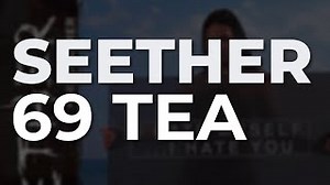 69 TEA Lyrics - SEETHER | eLyrics.net