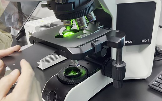 干货系列：Olympus-BX43研究级显微镜系统软件进阶应用培训