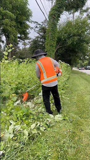 STIHL FS 56 RC-E 16.5 in. Gas Trimmer with Brush Cutter Blade on dense vegetation