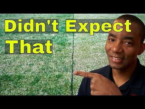 Pre-Emergent - LIQUID vs GRANULAR RESULTS