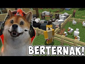 OBIT MEMBUAT PETERNAKAN DEKAT RUMAH! - Minecraft Survival #3