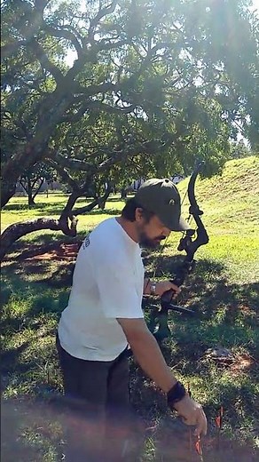 Oneida Aero Force X80 by Oneida Bows Brazil..