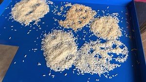 47K views · 1K reactions | LOOKING FOR 5 in 1 PORTABLE RICE MILLING MACHINE? SHIN NONG RICE MILL MACHINE IN PHILIPPINES | Shin Nong Rice Mill Machines | Facebook