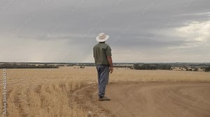 Farmer waiting for rain rural scenes. 4K farming scenes.