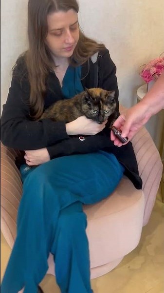 Imprinting w dr nancy